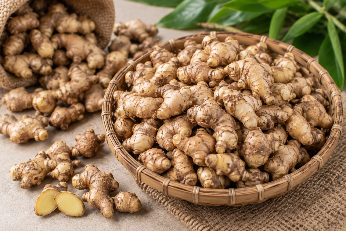 Fresh Indonesian ginger