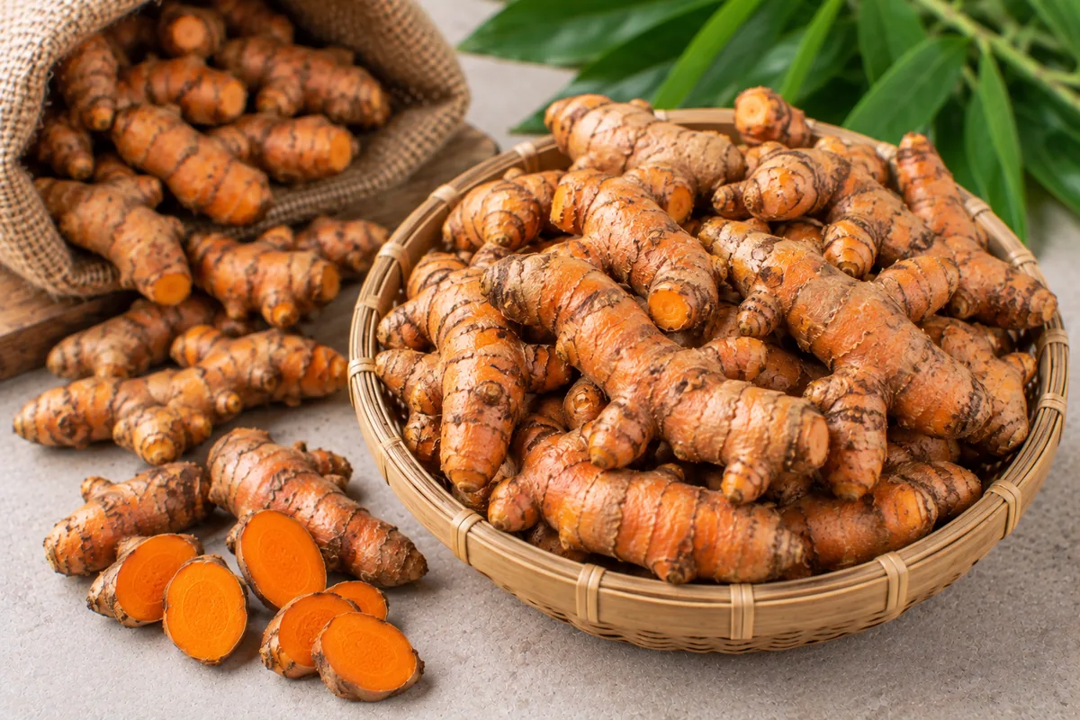 Fresh Indonesian turmeric